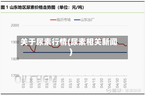 关于尿素行情(尿素相关新闻)-第2张图片
