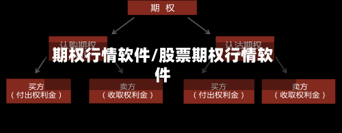 期权行情软件/股票期权行情软件-第1张图片