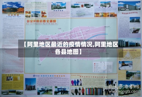 【阿里地区最近的疫情情况,阿里地区各县地图】-第2张图片