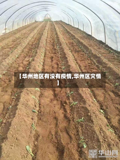 【华州地区有没有疫情,华州区灾情】-第1张图片