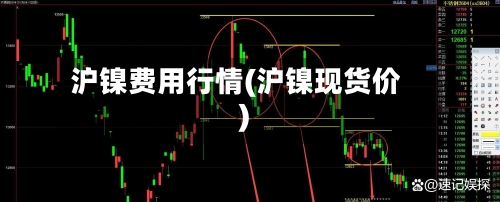 沪镍费用行情(沪镍现货价)-第1张图片