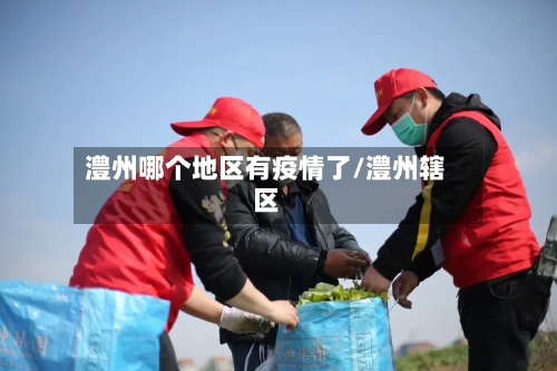 澧州哪个地区有疫情了/澧州辖区-第1张图片