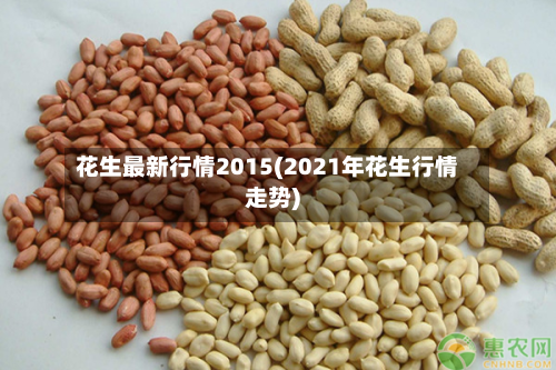 花生最新行情2015(2021年花生行情走势)-第1张图片