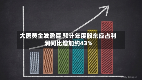 大唐黄金发盈喜 预计年度股东应占利润同比增加约43%-第2张图片