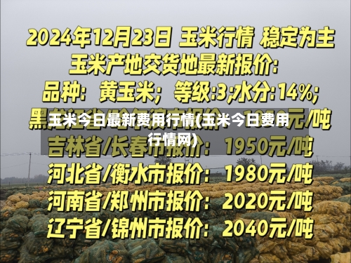 玉米今日最新费用行情(玉米今日费用行情网)-第3张图片