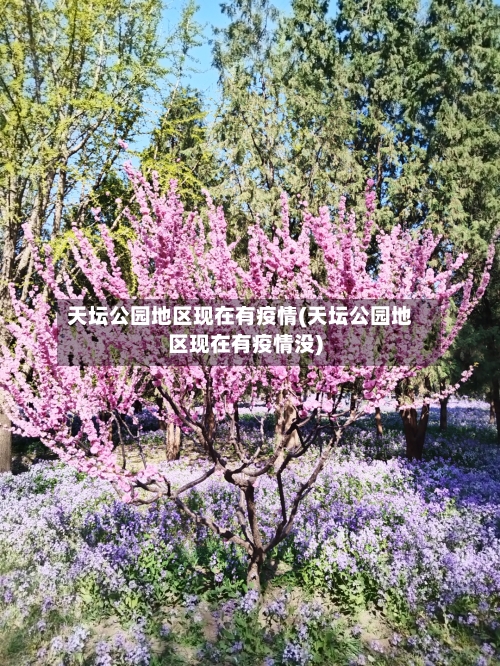 天坛公园地区现在有疫情(天坛公园地区现在有疫情没)-第2张图片