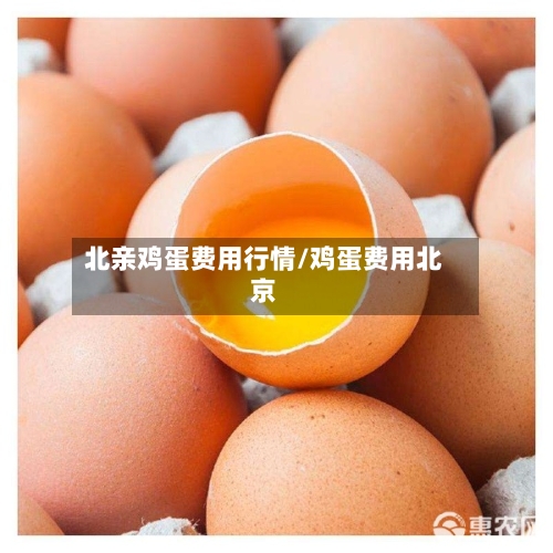 北亲鸡蛋费用行情/鸡蛋费用北京-第1张图片