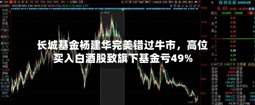 长城基金杨建华完美错过牛市，高位买入白酒股致旗下基金亏49%-第1张图片