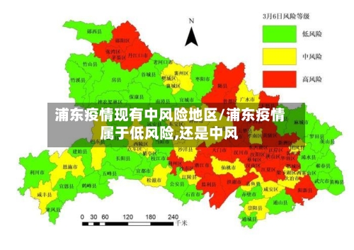 浦东疫情现有中风险地区/浦东疫情属于低风险,还是中风-第1张图片