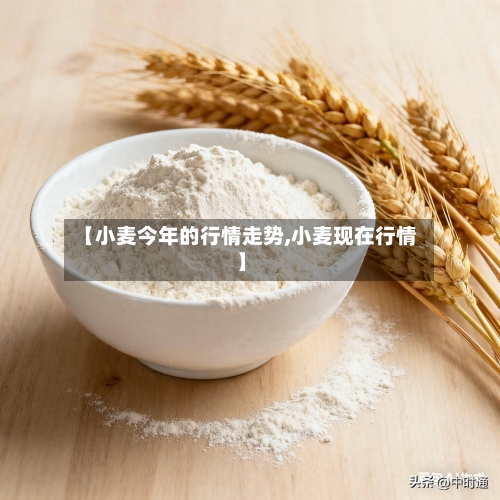 【小麦今年的行情走势,小麦现在行情】-第1张图片