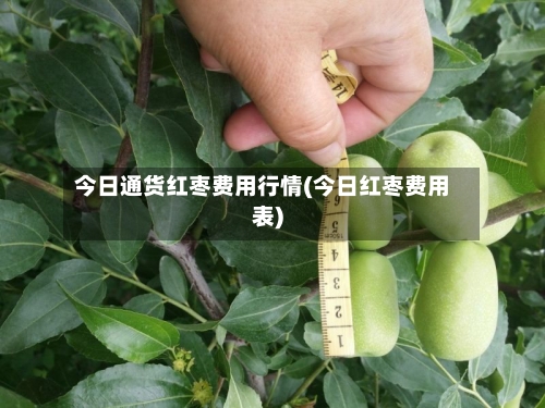 今日通货红枣费用行情(今日红枣费用表)-第1张图片