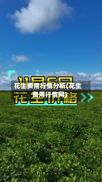 花生费用行情分析(花生费用行情网)-第2张图片