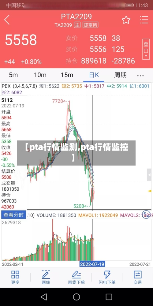 【pta行情监测,pta行情监控】-第2张图片