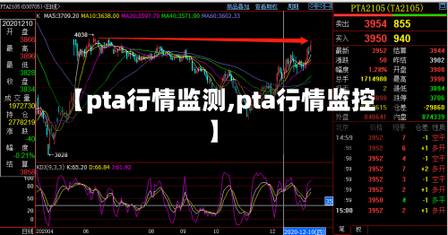 【pta行情监测,pta行情监控】-第1张图片