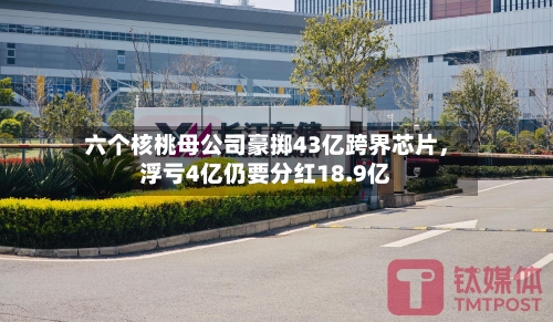 六个核桃母公司豪掷43亿跨界芯片，浮亏4亿仍要分红18.9亿-第2张图片