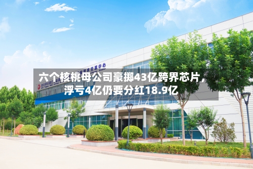 六个核桃母公司豪掷43亿跨界芯片，浮亏4亿仍要分红18.9亿-第1张图片