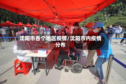 沈阳市各个地区疫情/沈阳市内疫情分布-第2张图片
