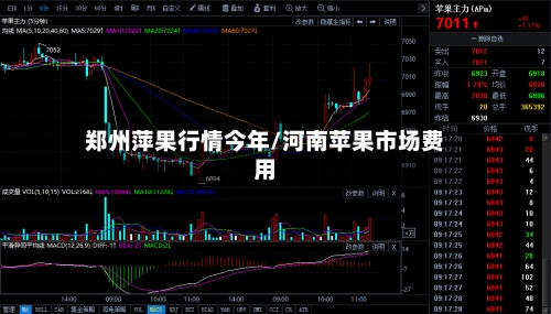 郑州萍果行情今年/河南苹果市场费用-第1张图片