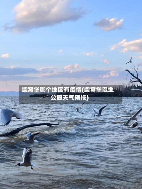 柴窝堡哪个地区有疫情(柴窝堡湿地公园天气预报)-第3张图片