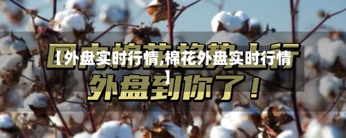 【外盘实时行情,棉花外盘实时行情】-第1张图片